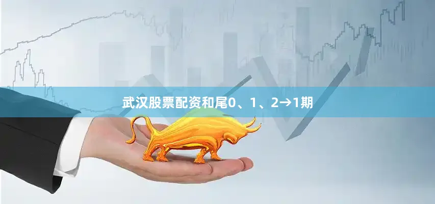 武汉股票配资和尾0、1、2→1期